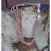 Herringbone Ni`ihau Shell Lei